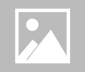 体育竞猜网站-破壁之战，东契奇关键节点遇赛事规则更新，中国队团队篮球带队取胜！规则更新下的对决，东契奇遇挑战，中国团队篮球显锋芒